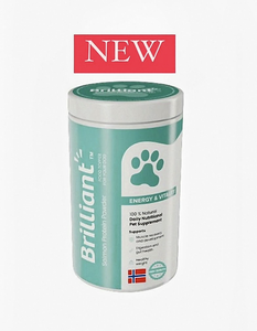 אבקת חלבון סלמון חדשנית בריליאנט Brilliant Energy & Vitality Protein Powder
