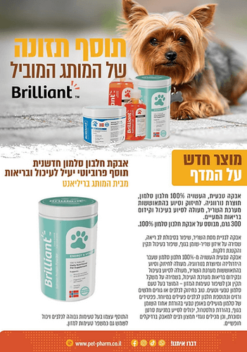 Brilliant Salmon Protein Powder לחיות מחמד