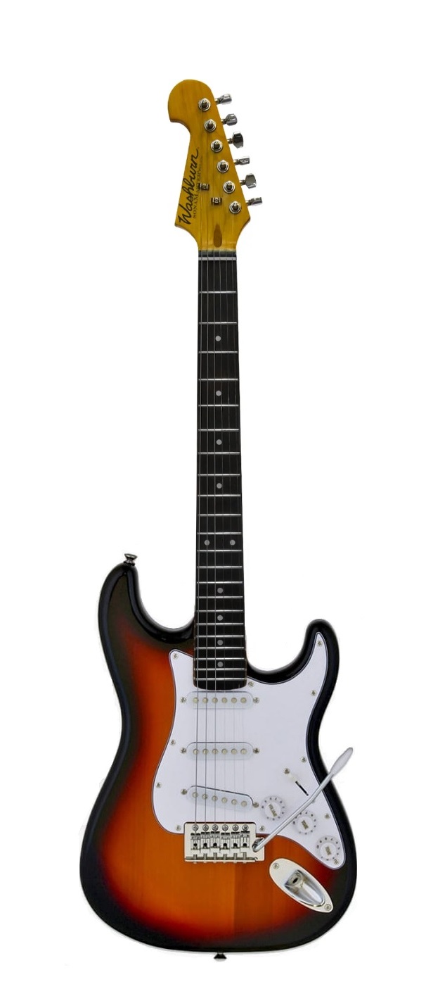 Washburn WS300TS