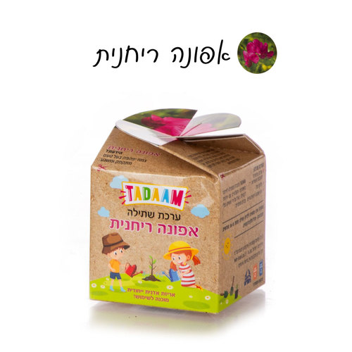 אפונה ריחנית