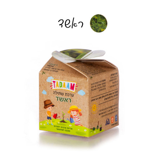 ראשד