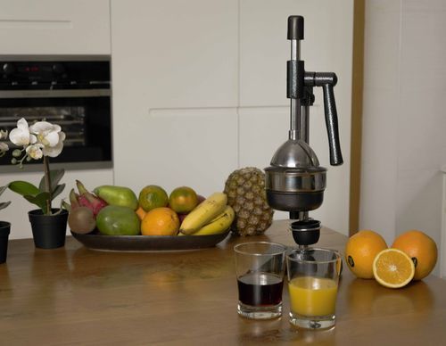 מסחטת הדרים ורימונים BENATON BT-1160
