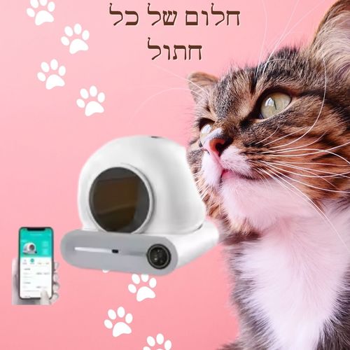 שירותים אוטומטים חכמים לחתול