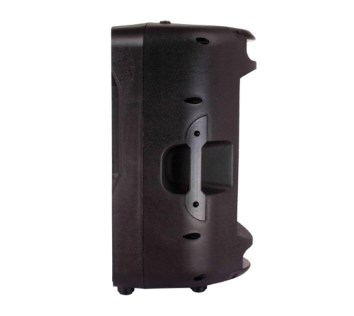 רמקול פאסיבי BLG Audio BP13-12 800W