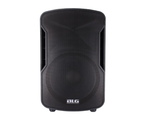 רמקול פאסיבי BLG Audio BP13-12 800W