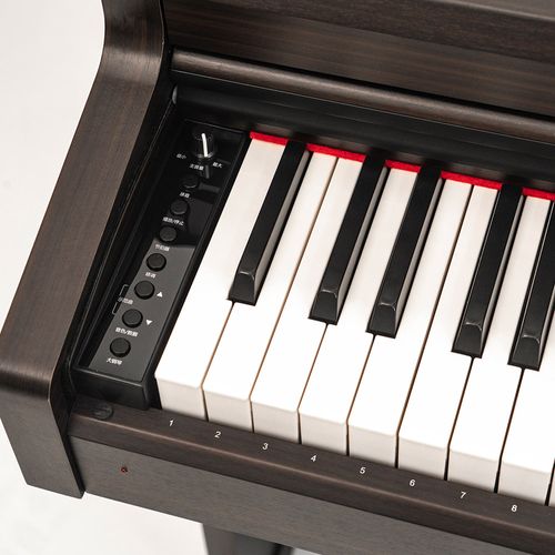 פסנתר חשמלי V03 PRO בצבע שחור PEARL RIVER