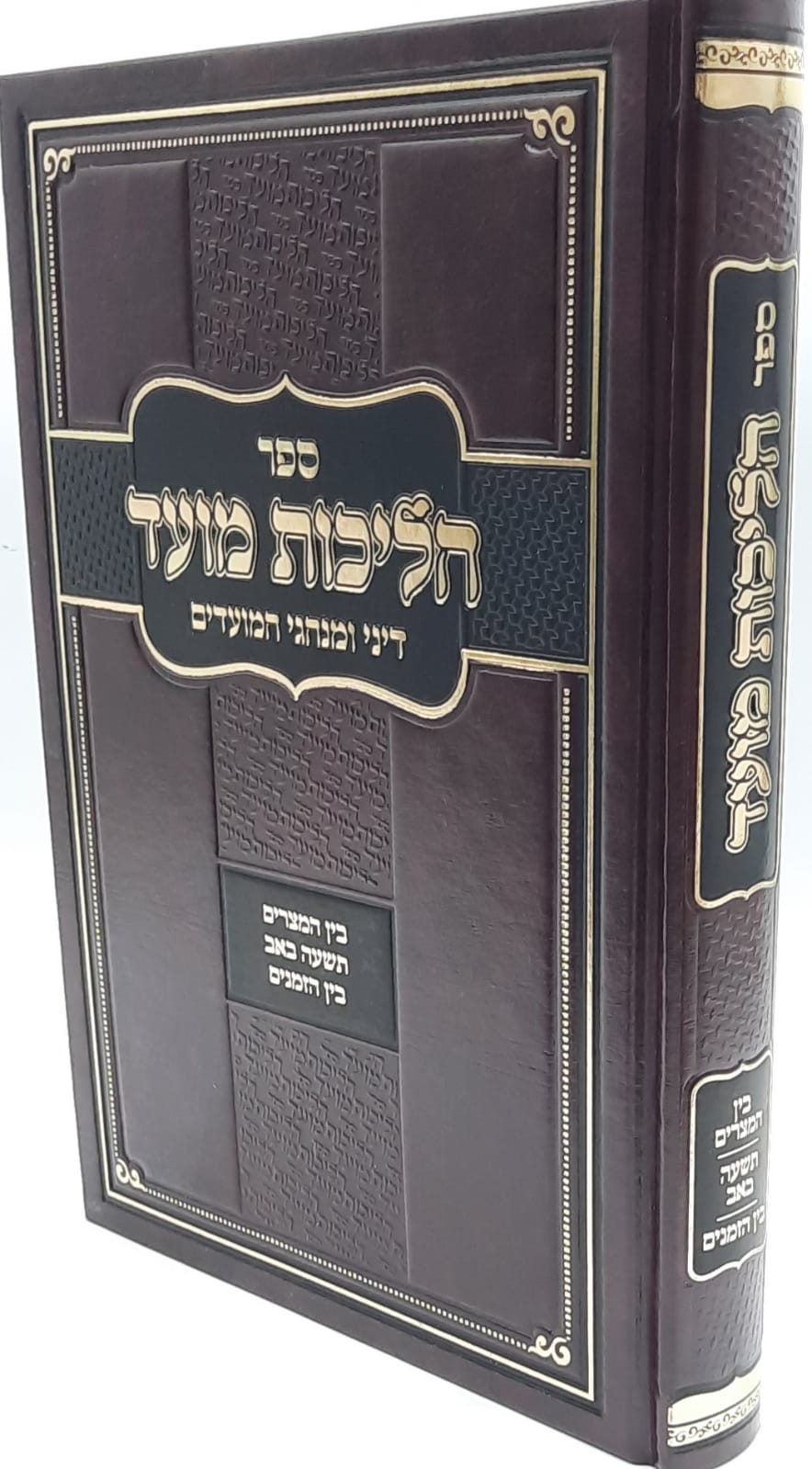 הליכות מועד בין המיצרים/תשעה באב/בין הזמנים - הרב אופיר מלכא
