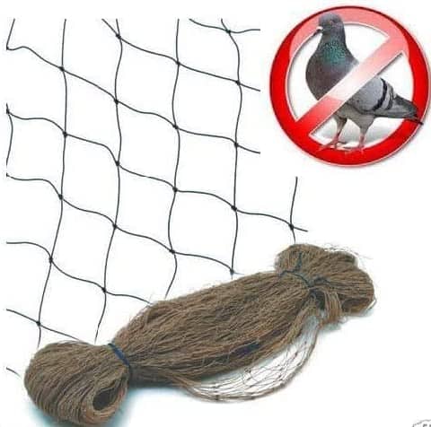 רשת יונים 2 מטר רוחב רץ