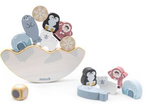 פאזל שיווי משקל - הקוטב הצפוני