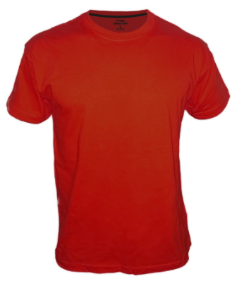 חולצת טריקו שרוול קצר 160 גרם WORK FASHION
