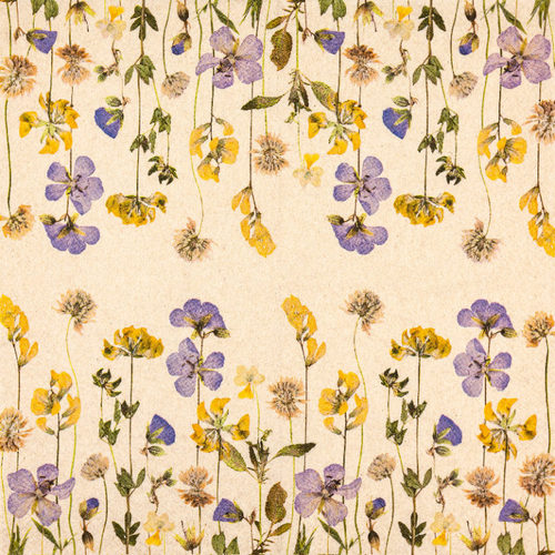 מפיות נייר 20 יח' Pressed Flowers
