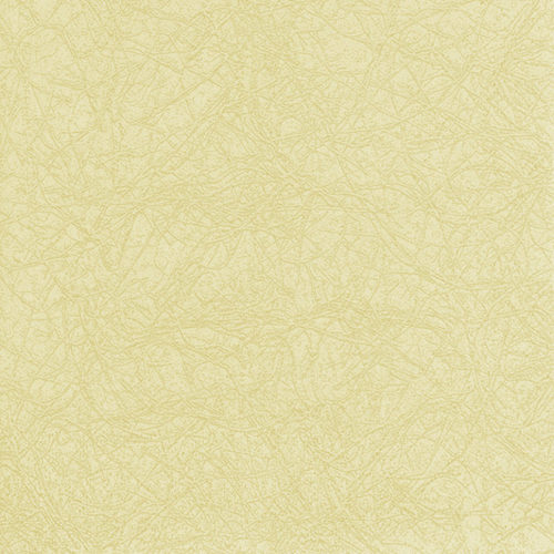 מפיות נייר 20 יח' Modern Colours champagne