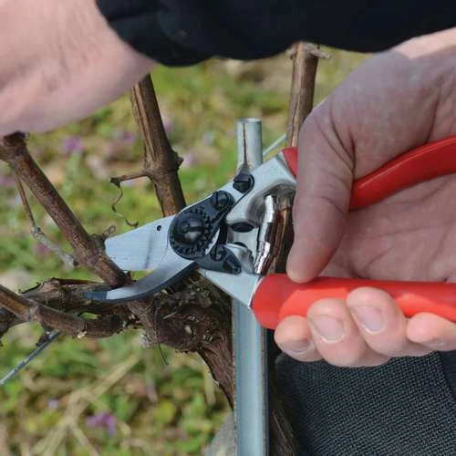 מזמרה FELCO 7 היא מזמרה ידנית מקצועית בעיצוב ארגונומי ייחודי, המיועדת ל־גיזום ענפים עד קוטר של 25 מ