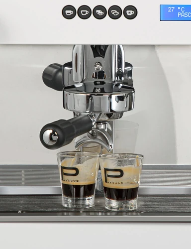 מחודש מכונת קפה מקצועית פסקל Pascale Siena Pro professional 2GR white