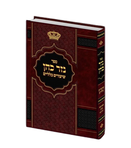 נזר כהן שיעורים כלליים - בבא קמא/מכות/קידושין - הרב זמיר כהן