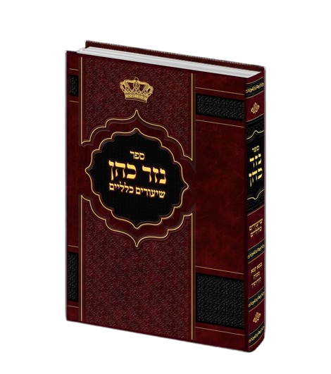 נזר כהן שיעורים כלליים - בבא קמא/מכות/קידושין - הרב זמיר כהן