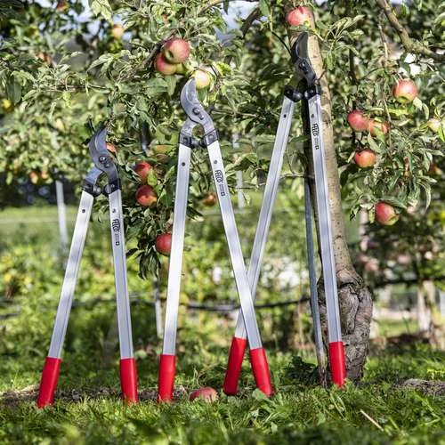 שלוש מזמרות תוכי מקצועיות מדגם FELCO 221 באורכים שונים (60, 80, 100 ס