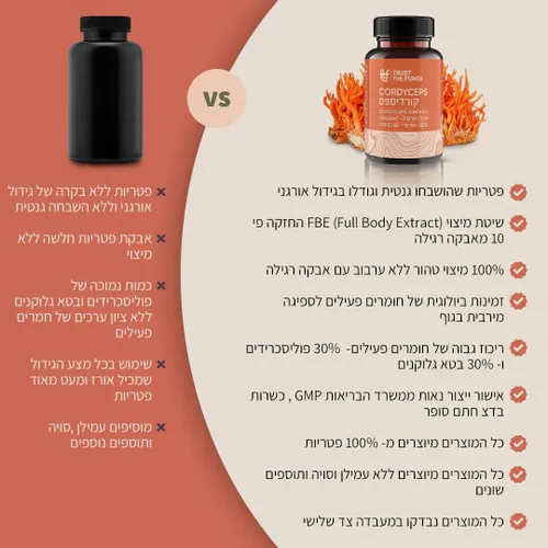 פטריית קורדיספס | מיצוי 100% פטריות בשיטת FBE (60 כמוסות) - TRUST THE FUNGI 