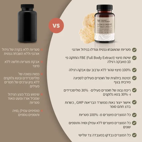 פטריית רעמת האריה | מיצוי 100% גופי פרי בשיטת FBE (60 כמוסות) - TRUST THE FUNGI 