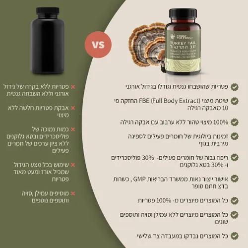 פטריית זנב התרנגול | מיצוי 100% גופי פרי בשיטת FBE (60 כמוסות) - TRUST THE FUNGI 