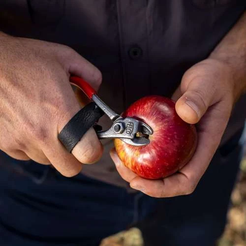 מזמרה ידנית מקצועית FELCO 330 היא מקטפת פירות איכותית מתוצרת שווייץ, המיועדת לגיזום ענפים דקים ולקטיף פירות רכים ללא פגיעה בפרי.