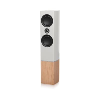 רמקול ריצפתי מעוצב TANNOY Platinum F6 -WH