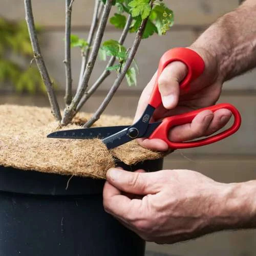 כלי חובה: מספריים לגינה רב תכליתי מבית FELCO שוויץ