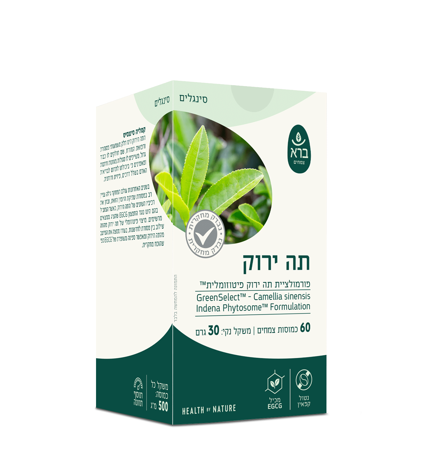 תה ירוק פיטוזום 60 כמוסות | Camelia Sinensis Phytosome Formulation