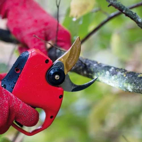 FELCO 834W היא מזמרה חשמלית נטענת מתקדמת, המיועדת לגיזום מקצועי של ענפים בקוטר של עד 34 מ