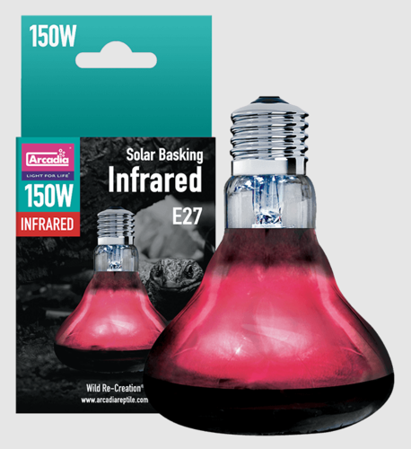 נורת חימום אינפרה אדום פטריה 150 וואט