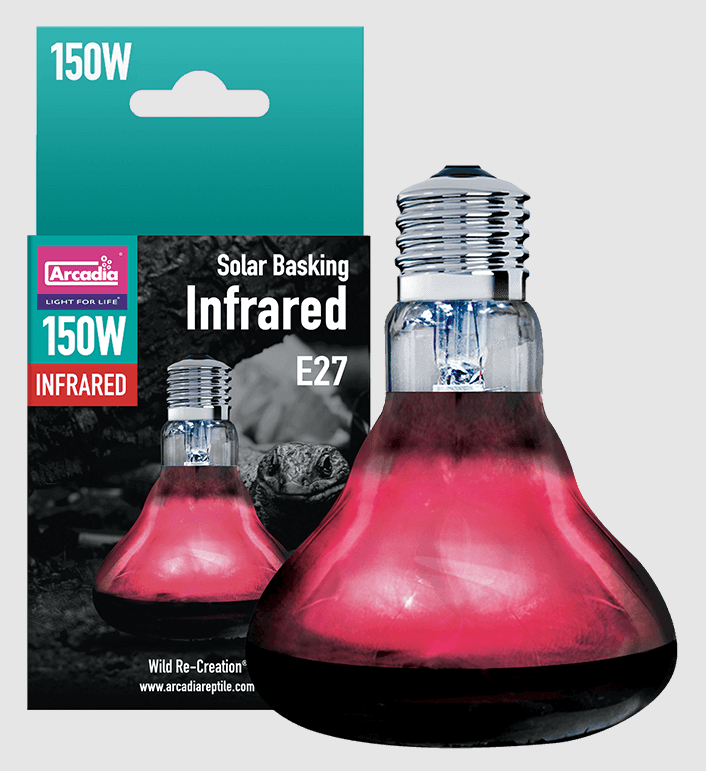 נורת חימום אינפרה אדום פטריה 150 וואט