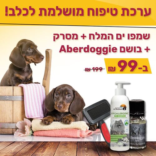 ערכת טיפוח מושלמת לכלב – שמפו ים המלח + מסרק איכותי + בושם Aberdoggie
