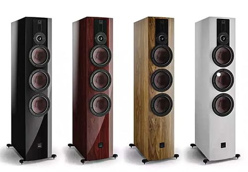 זוג רמקולים רצפתיים Dali Rubikore 8