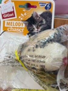 " מלודי צ