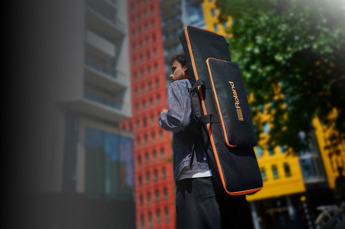 זוית נוספת Boss CB-V61 Carrying Bag