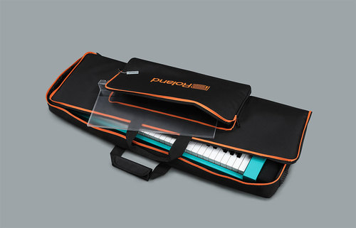 זוית נוספת Boss CB-V61 Carrying Bag