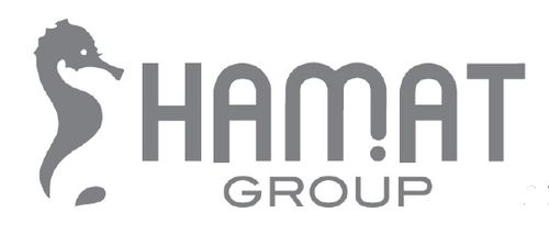 ברזי קיר לכיור / סדרת אוורסט Everest Everest  פיה קצרה 302814
