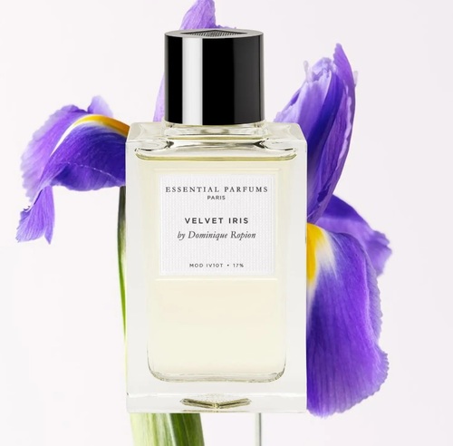 בושם יוניסקס Essential Parfums Velvet Iris EDP 100ml 