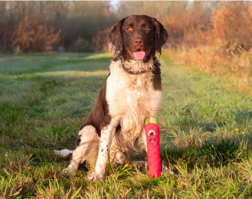 צעצוע חייזרי מצפצף | ורוד | L