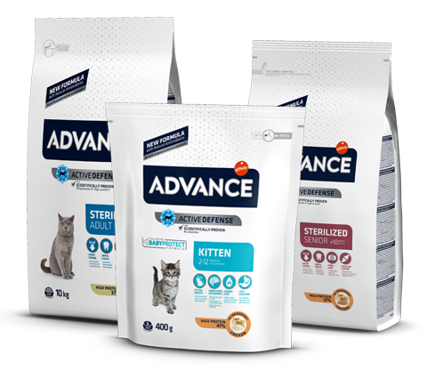 Advance – אדוונס אוכל לחתולים: סקירה מקיפה