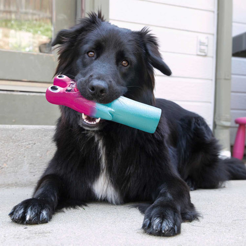 קונג וויגי גופיז צעצוע דמויות מצפצף לכלב | KONG Wiggi Goofz Dog Toy