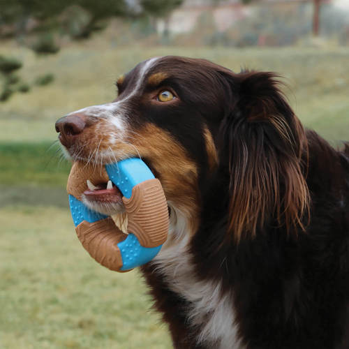 קונג רינג במבוק צעצוע לעיסה לכלב | KONG Bamboo Core Strength Ring Dog Toy