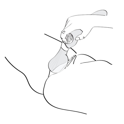 SHUNGA - ZOA 