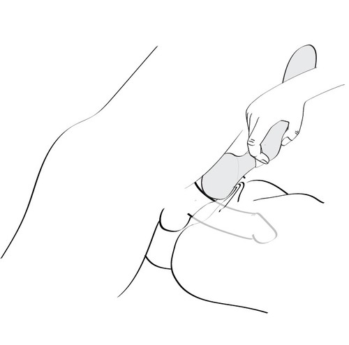 SHUNGA - ZOA 