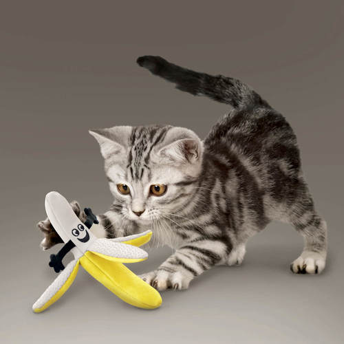 קונג בטר באז בננה צעצוע לחתול | Kong Better Buzz Banana Cat Toy