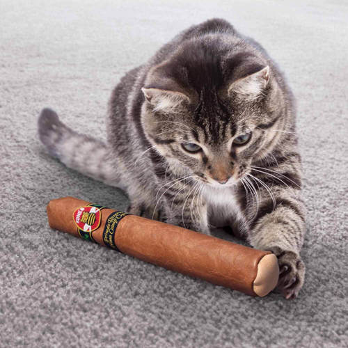 קונג בטר באז סיגר צעצוע לחתול | KONG Better Buzz Cigar Cat Toy