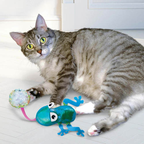קונג פלינגרו צפרדע צעצוע לחתול עם קטניפ | KONG Flingaroo Frog Catnip Toy