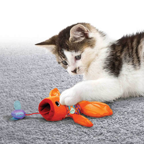 קונג קראקלס צעצוע לחתול – דג זהב | KONG Crackles Goldfish – Catnip
