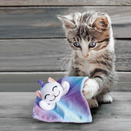 קונג צעצוע לחתול – בובת פיית חתול מרשרשת | KONG Crackles Cat Fairy – Catnip