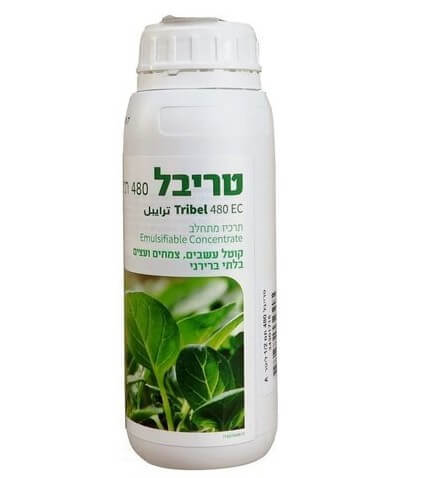 הדברה